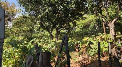 House T4 in Peso da Régua e Godim of 180 m²