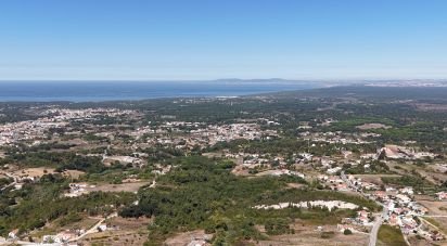 Terrain à Sesimbra (Castelo) de 6 371 m²