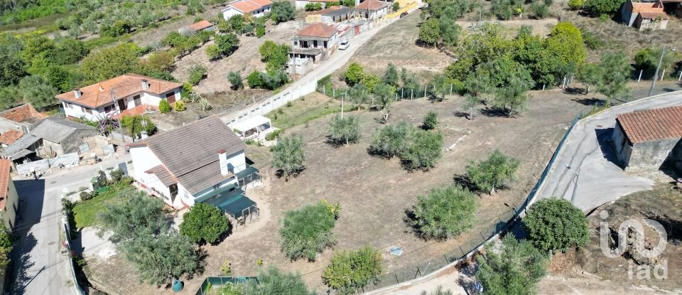 Traditional house T2 in São Miguel, Santa Eufémia e Rabaçal of 296 m²