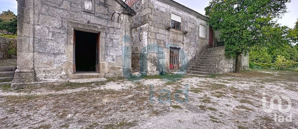 Farm T5 in Rio de Moinhos of 17,000 m²