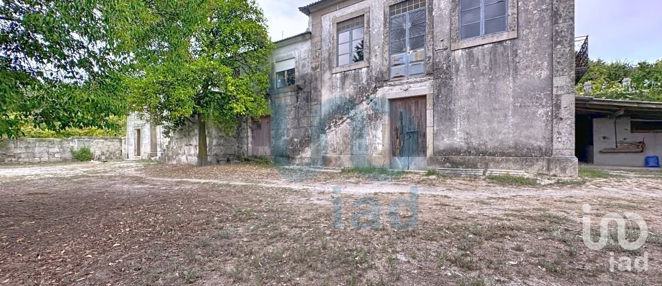 Farm T5 in Rio de Moinhos of 17,000 m²