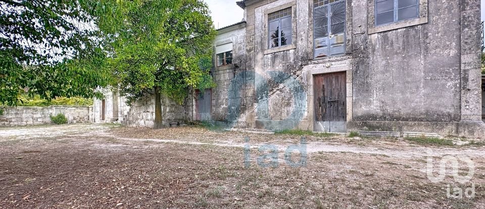 Farm T5 in Rio de Moinhos of 17,000 m²