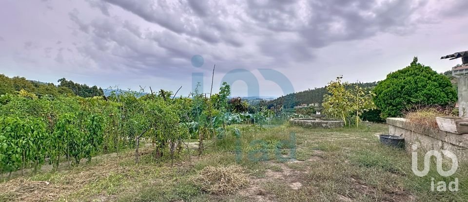 Farm T5 in Rio de Moinhos of 17,000 m²