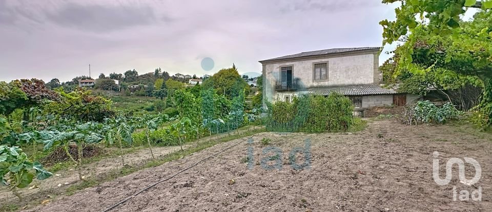Farm T5 in Rio de Moinhos of 17,000 m²
