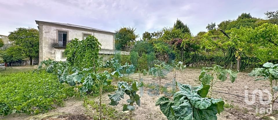 Farm T5 in Rio de Moinhos of 17,000 m²