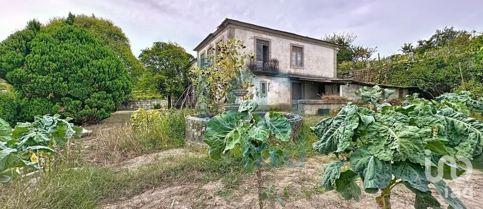 Farm T5 in Rio de Moinhos of 17,000 m²