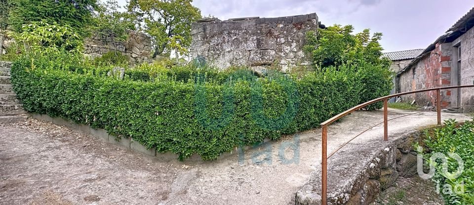 Farm T5 in Rio de Moinhos of 17,000 m²