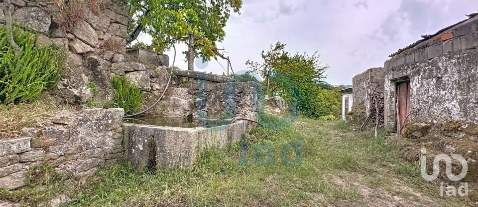 Farm T5 in Rio de Moinhos of 17,000 m²