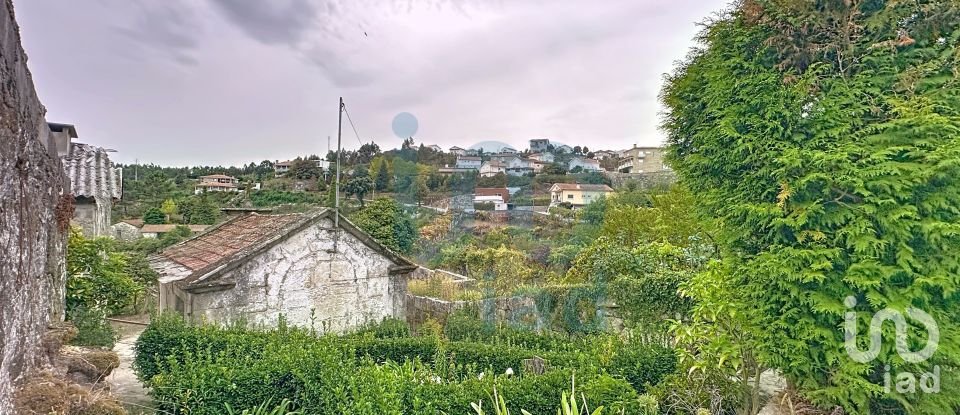 Farm T5 in Rio de Moinhos of 17,000 m²