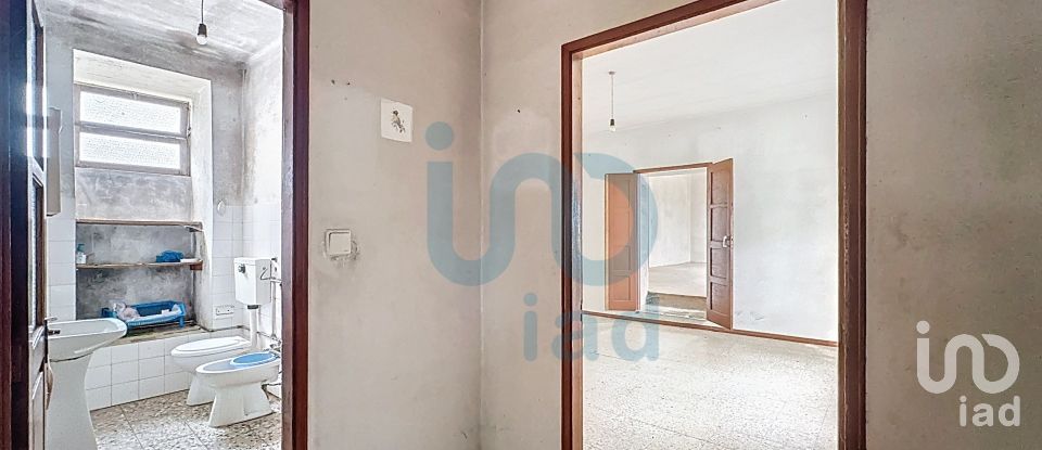 Farm T5 in Rio de Moinhos of 17,000 m²