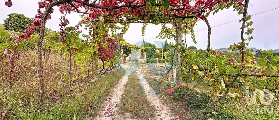 Farm T5 in Rio de Moinhos of 17,000 m²