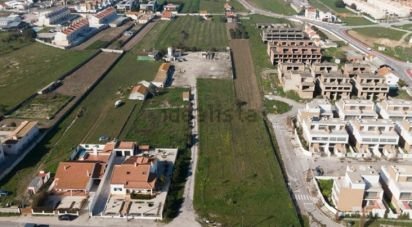 Terrain à Alcochete de 22 131 m²