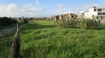 Terrain à Alcochete de 22 131 m²