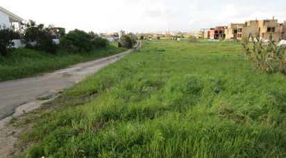 Terrain à Alcochete de 22 131 m²