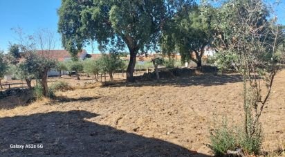 Terrain à Urra de 3 180 m²