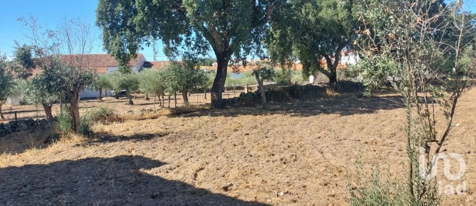Land in Urra of 3,180 m²