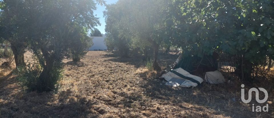 Land in Urra of 3,180 m²