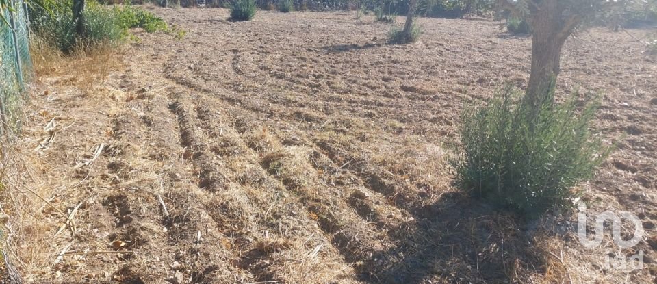 Land in Urra of 3,180 m²