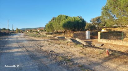 Land in Urra of 25,000 m²