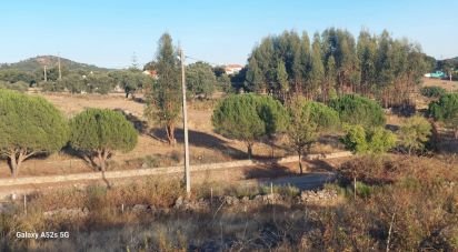 Land in Urra of 25,000 m²