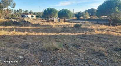 Land in Urra of 25,000 m²