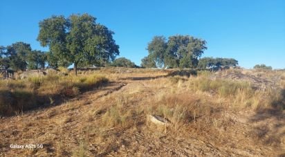 Land in Urra of 25,000 m²