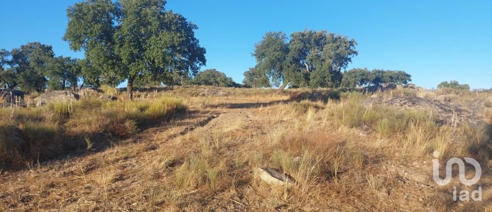 Land in Urra of 25,000 m²