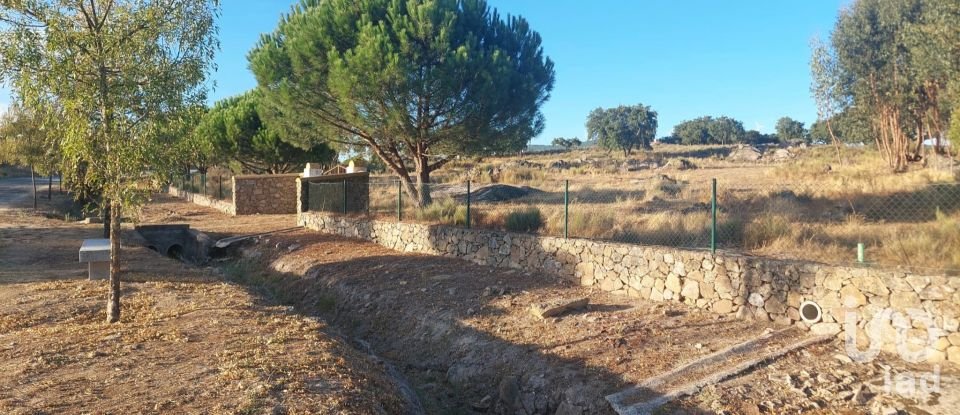 Land in Urra of 25,000 m²