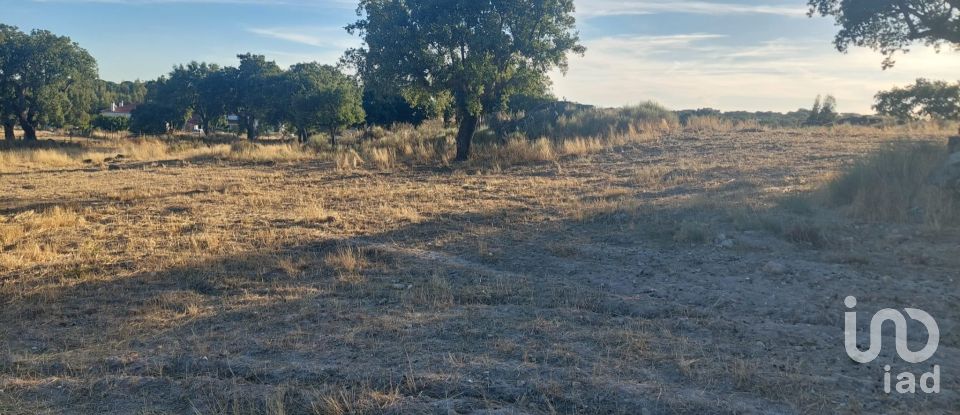 Land in Urra of 25,000 m²