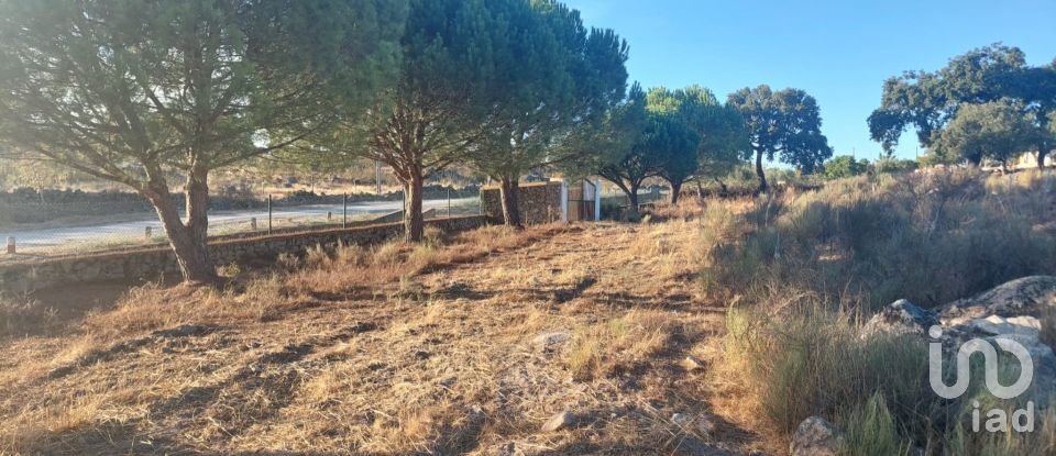 Land in Urra of 25,000 m²