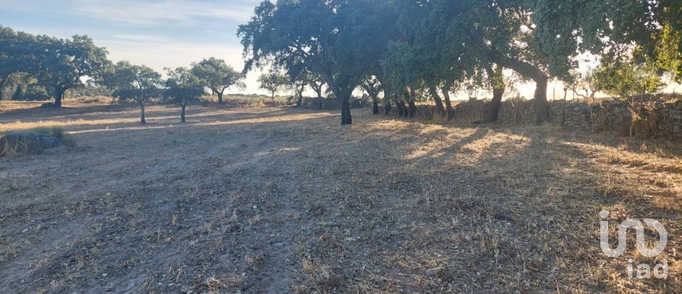 Land in Urra of 25,000 m²