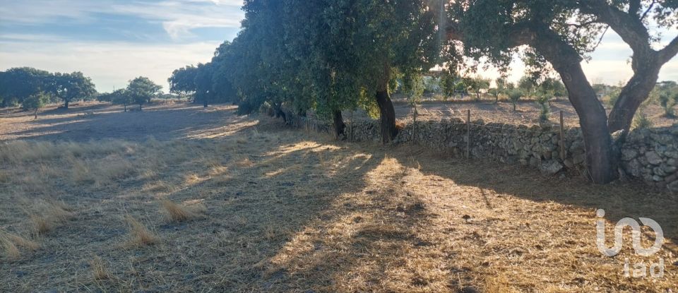 Land in Urra of 25,000 m²