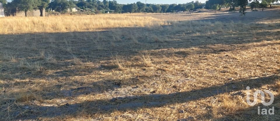 Land in Urra of 25,000 m²