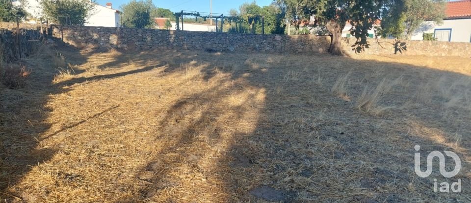 Land in Urra of 25,000 m²
