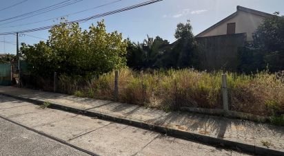 Terrain agricole à Amora de 315 m²