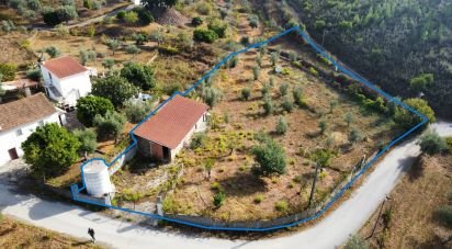 Terrain à Sertã de 1 800 m²