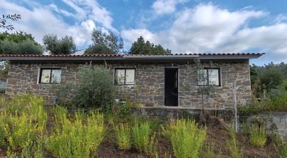 Terrain à Sertã de 1 800 m²