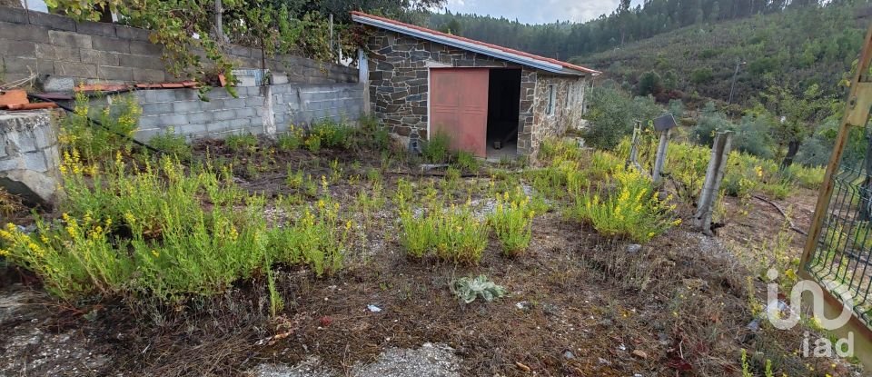 Terrain à Sertã de 1 800 m²