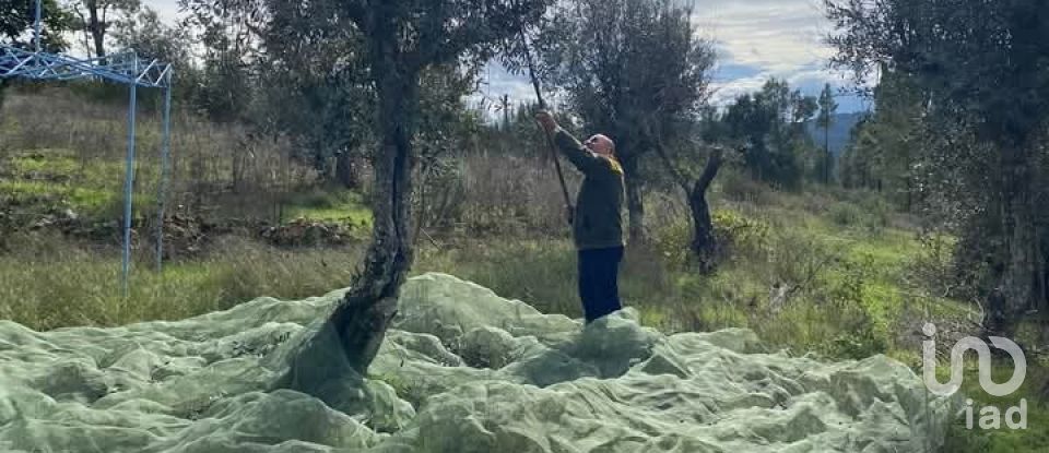 Maison T5 à Cardigos de 255 m²