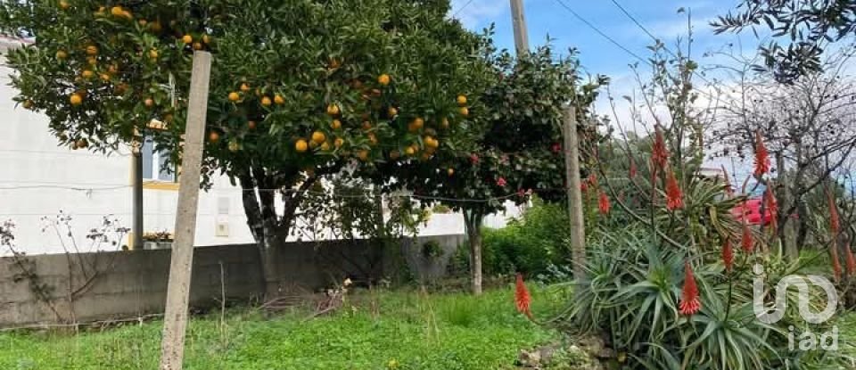 Maison T5 à Cardigos de 255 m²