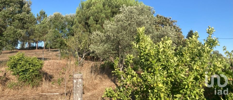 Maison T5 à Cardigos de 255 m²