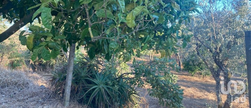 Maison T5 à Cardigos de 255 m²