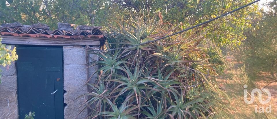 Maison T5 à Cardigos de 255 m²