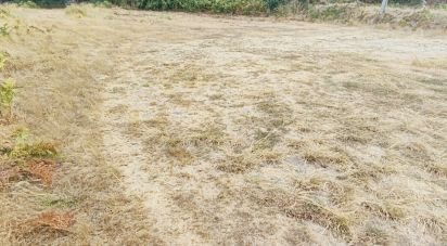 Land in Sopo of 600 m²