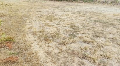 Land in Sopo of 600 m²