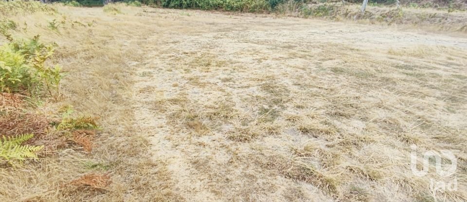 Terreno em Sopo de 600 m²