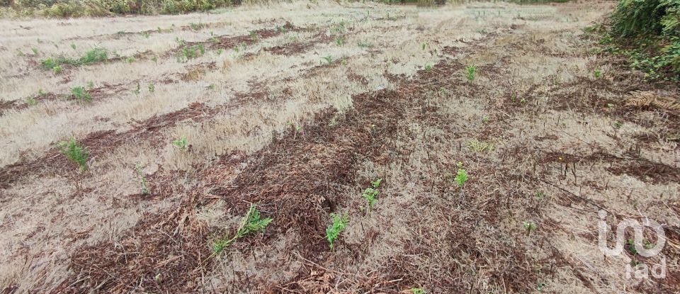 Terreno em Sopo de 600 m²