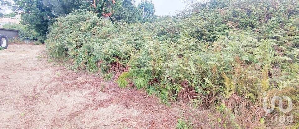 Terreno em Sopo de 600 m²