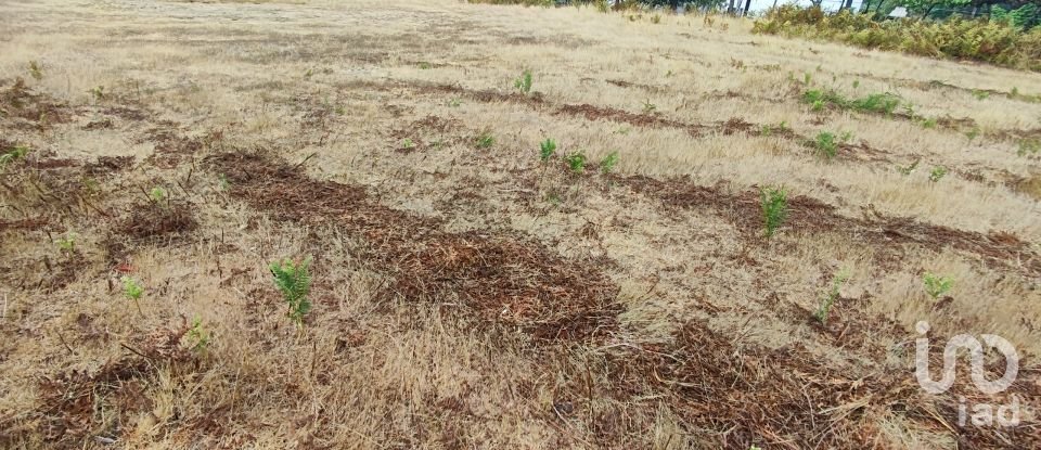 Terreno em Sopo de 600 m²