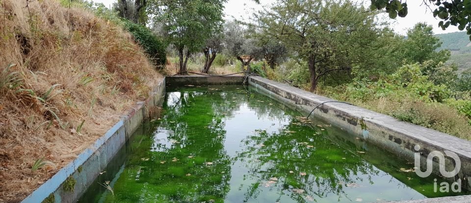 House T5 in Cortes do Meio of 444 m²